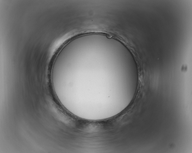 X0000114030248200910021048