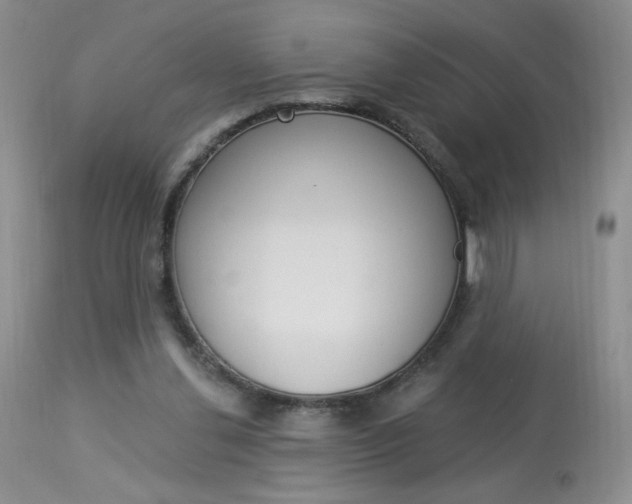 X0000114030252200910021048