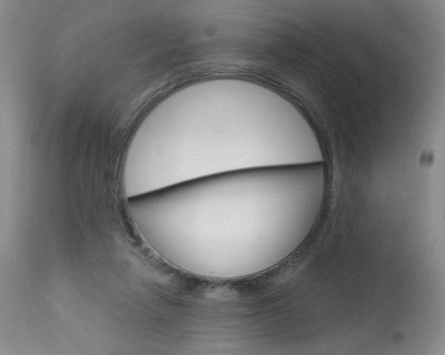 X0000114030258200910021048