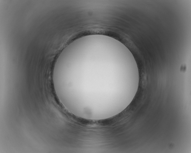 X0000114030259200910021048