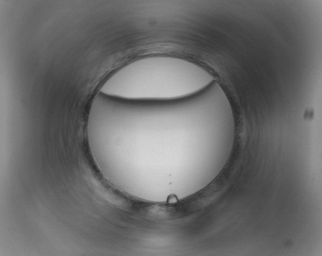X0000114030261200910021048