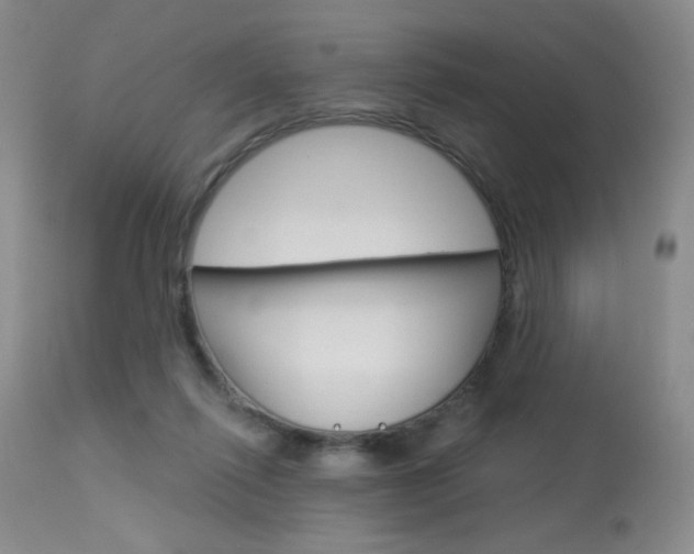 X0000114030262200910021048