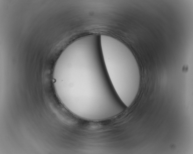 X0000114030263200910021048