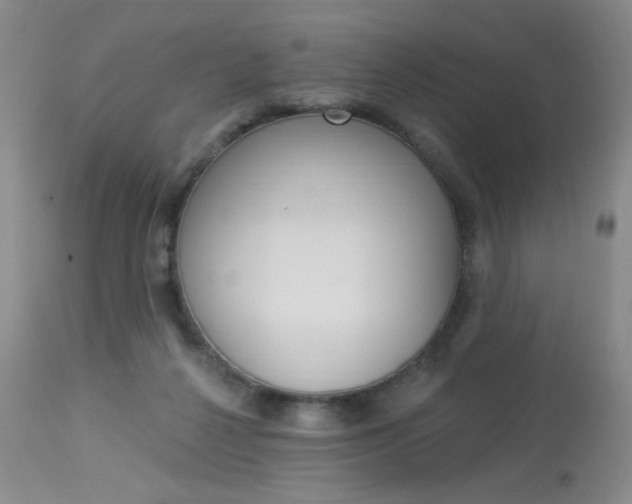 X0000114030264200910021048