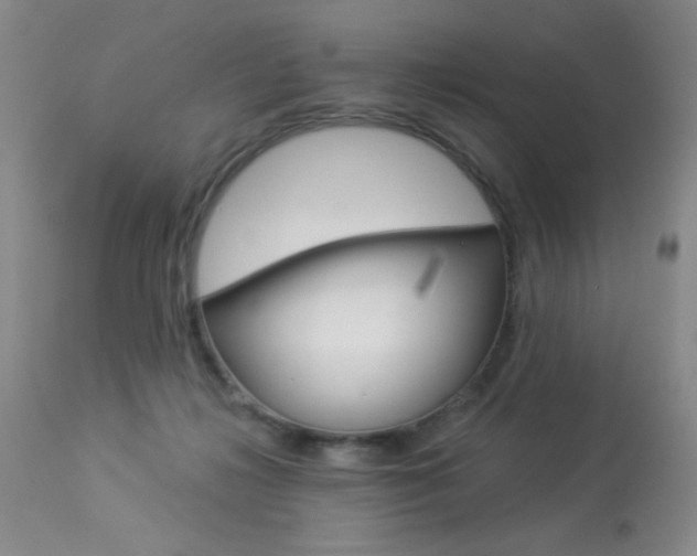 X0000114030268200910021048