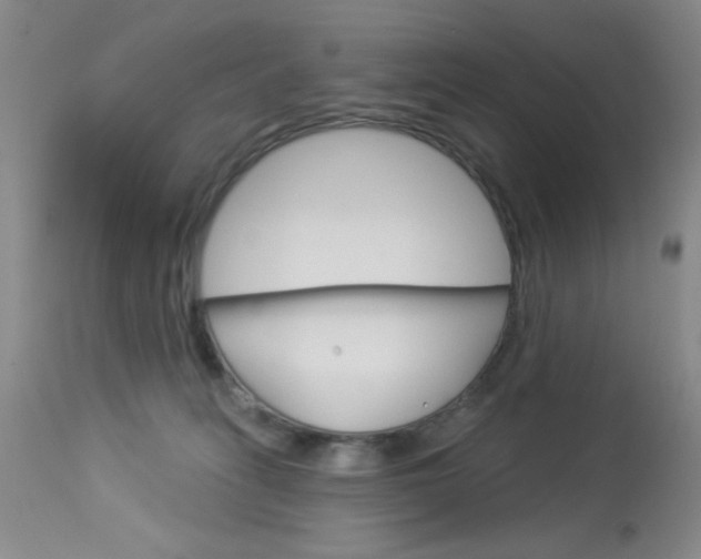 X0000114030275200910021048