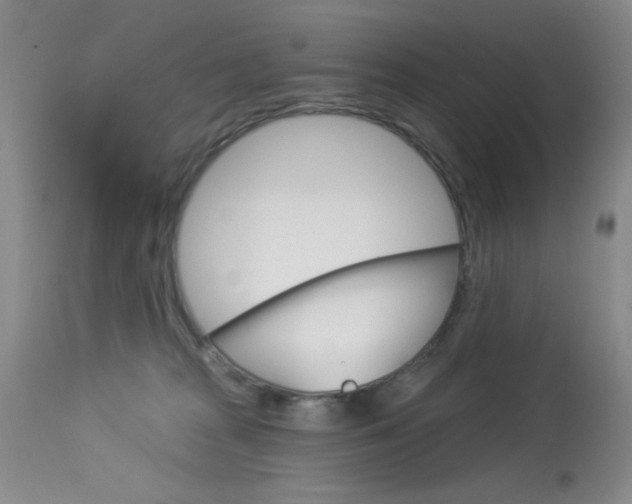 X0000114030277200910021048