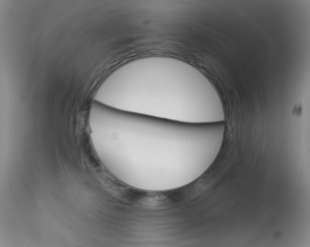 X0000114030278200910021048