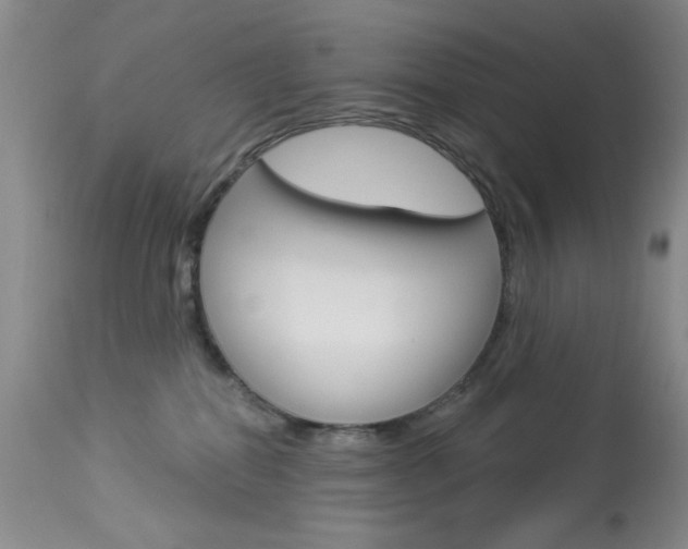 X0000114030282200910021048