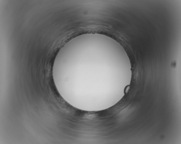 X0000114030283200910021048