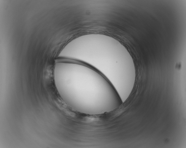 X0000114030284200910021048
