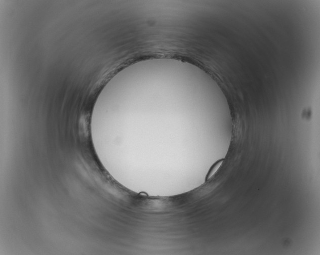 X0000114030286200910021048