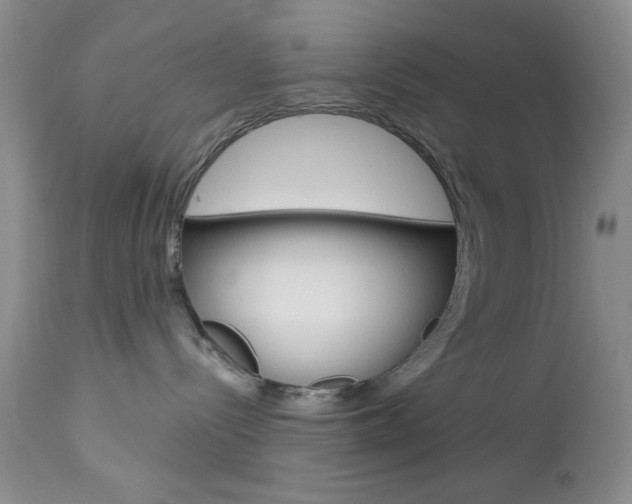X0000114030288200910021048