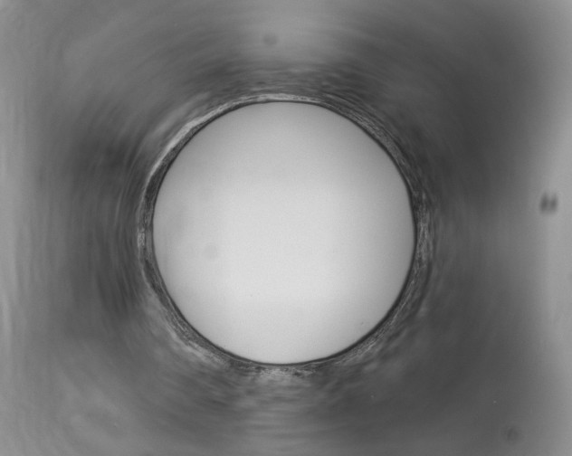 X0000114030290200910021048