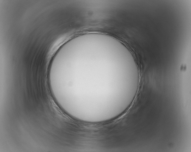 X0000114030293200910021048