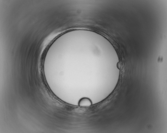 X0000114030294200910021048