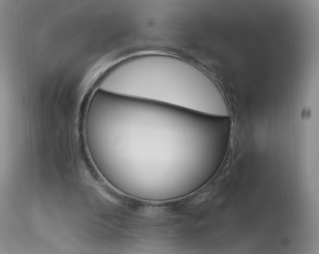 X0000114030296200910021048