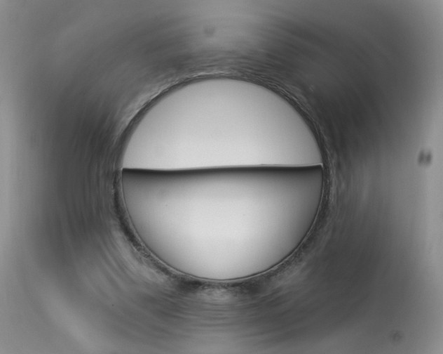 X0000114030299200910021047