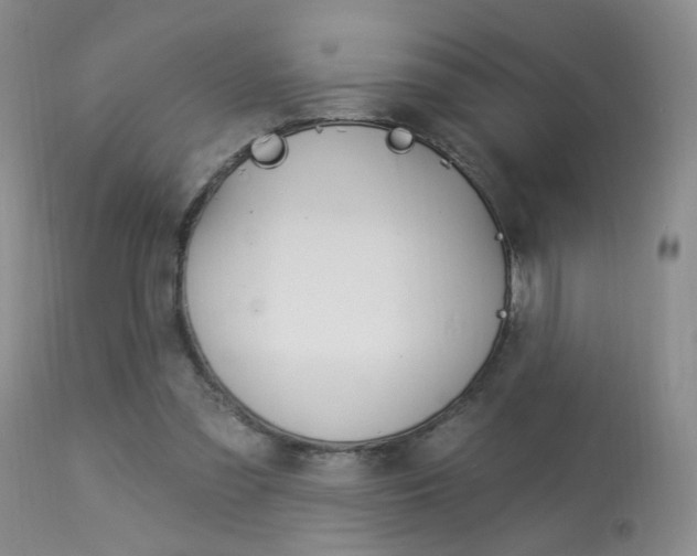 X0000114030301200910021047