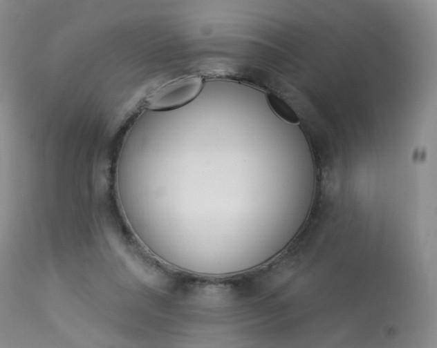 X0000114030304200910021047