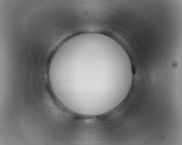X0000114030306200910021047