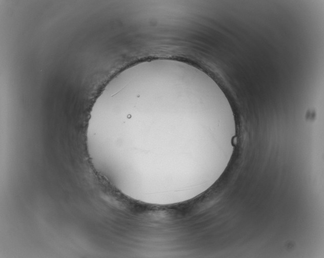 X0000114030307200910021047