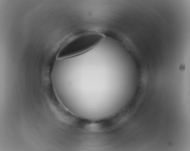 X0000114030312200910021047