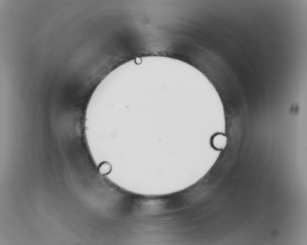 X0000114030313200910021047