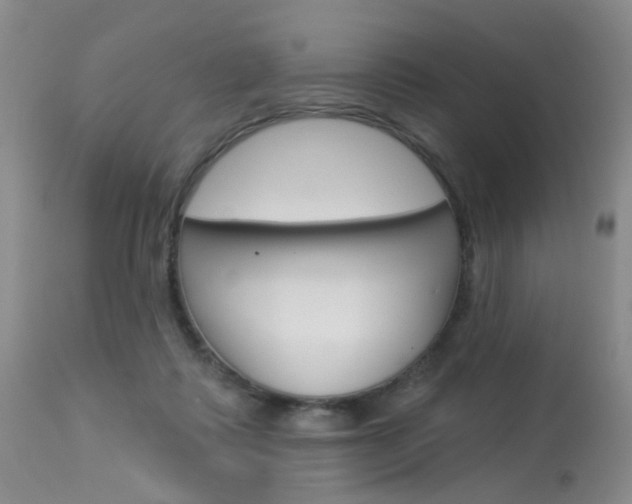X0000114030315200910021047