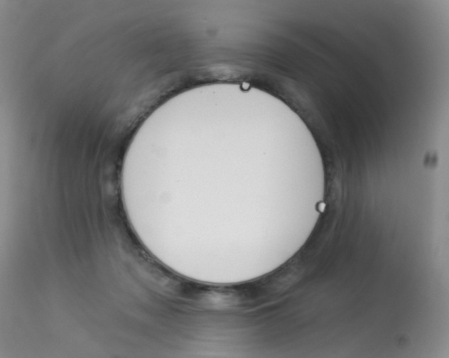 X0000114030317200910021047
