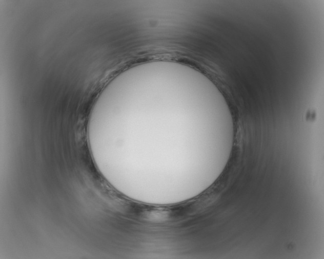 X0000114030318200910021047