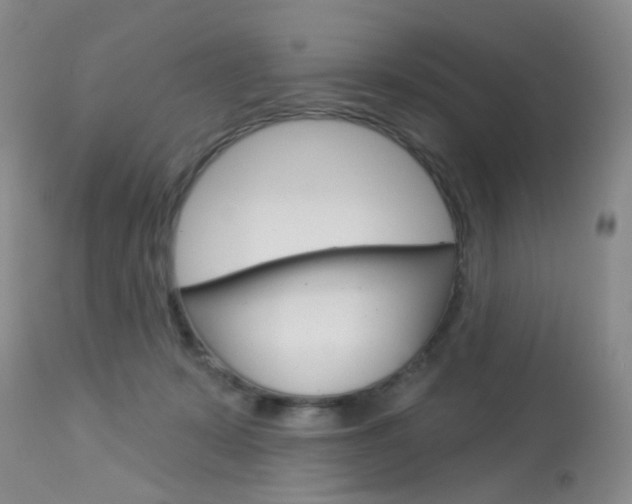 X0000114030319200910021047