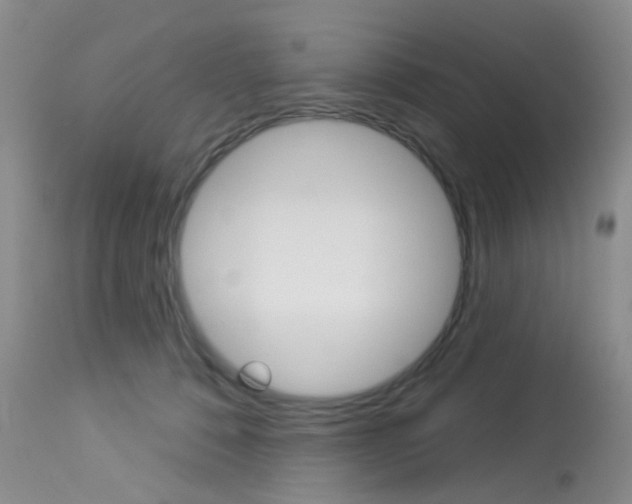 X0000114030320200910021047