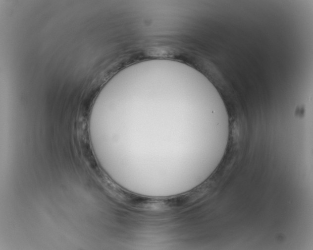 X0000114030322200910021047
