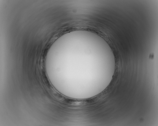 X0000114030323200910021047