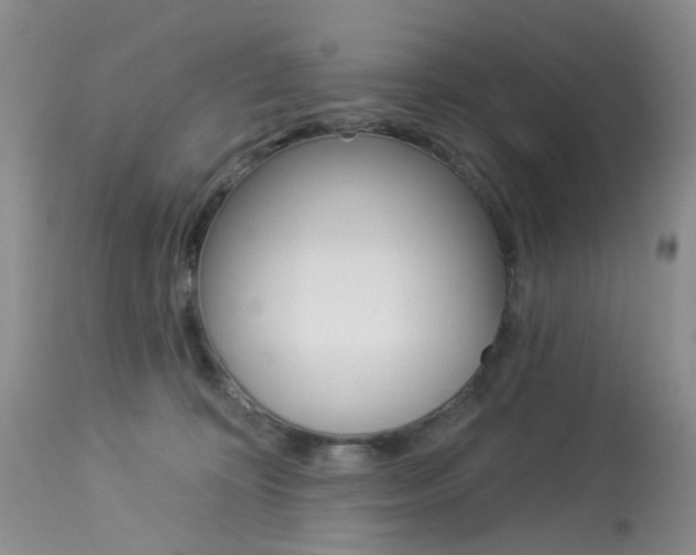 X0000114030324200910021047