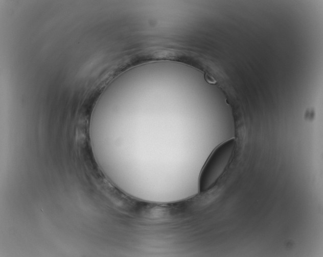 X0000114030325200910021047