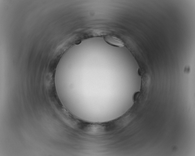 X0000114030327200910021047