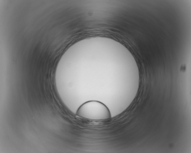X0000114030328200910021047