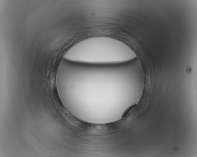 X0000114030329200910021047