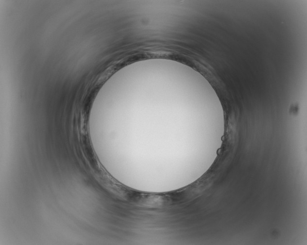 X0000114030330200910021047