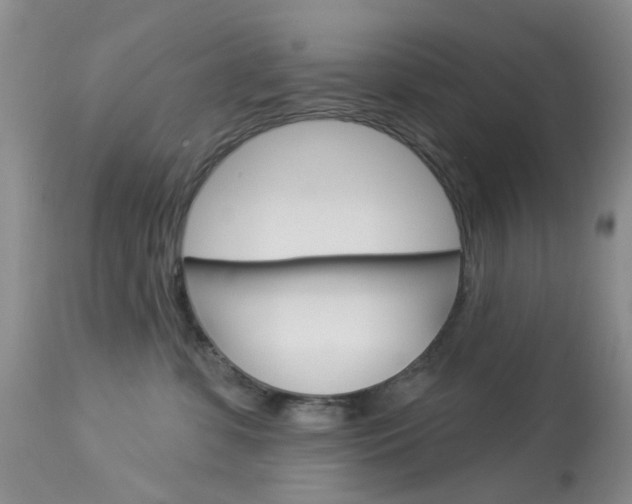 X0000114030331200910021047