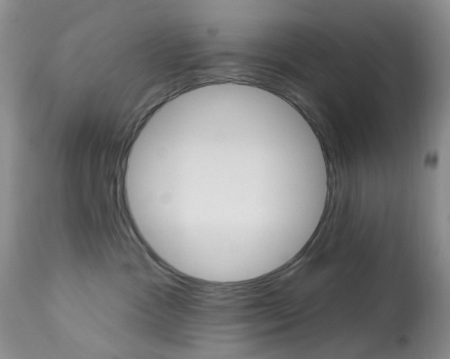 X0000114030333200910021047