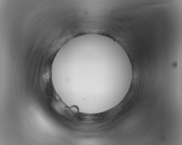 X0000114030334200910021047