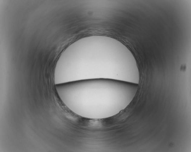 X0000114030335200910021047