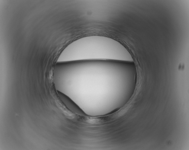 X0000114030336200910021047