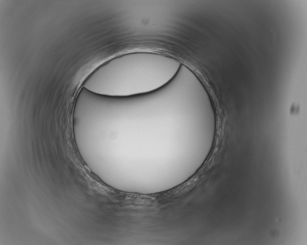 X0000114030337200910021046