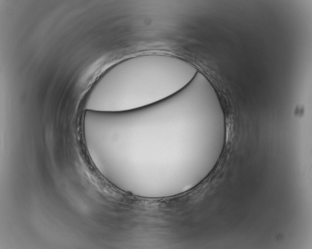 X0000114030339200910021046