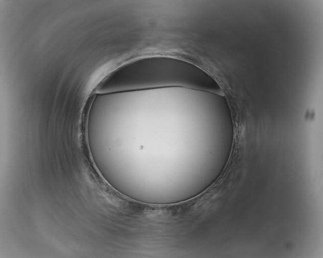 X0000114030340200910021046