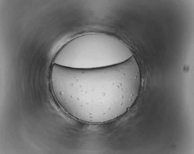 X0000114030341200910021046